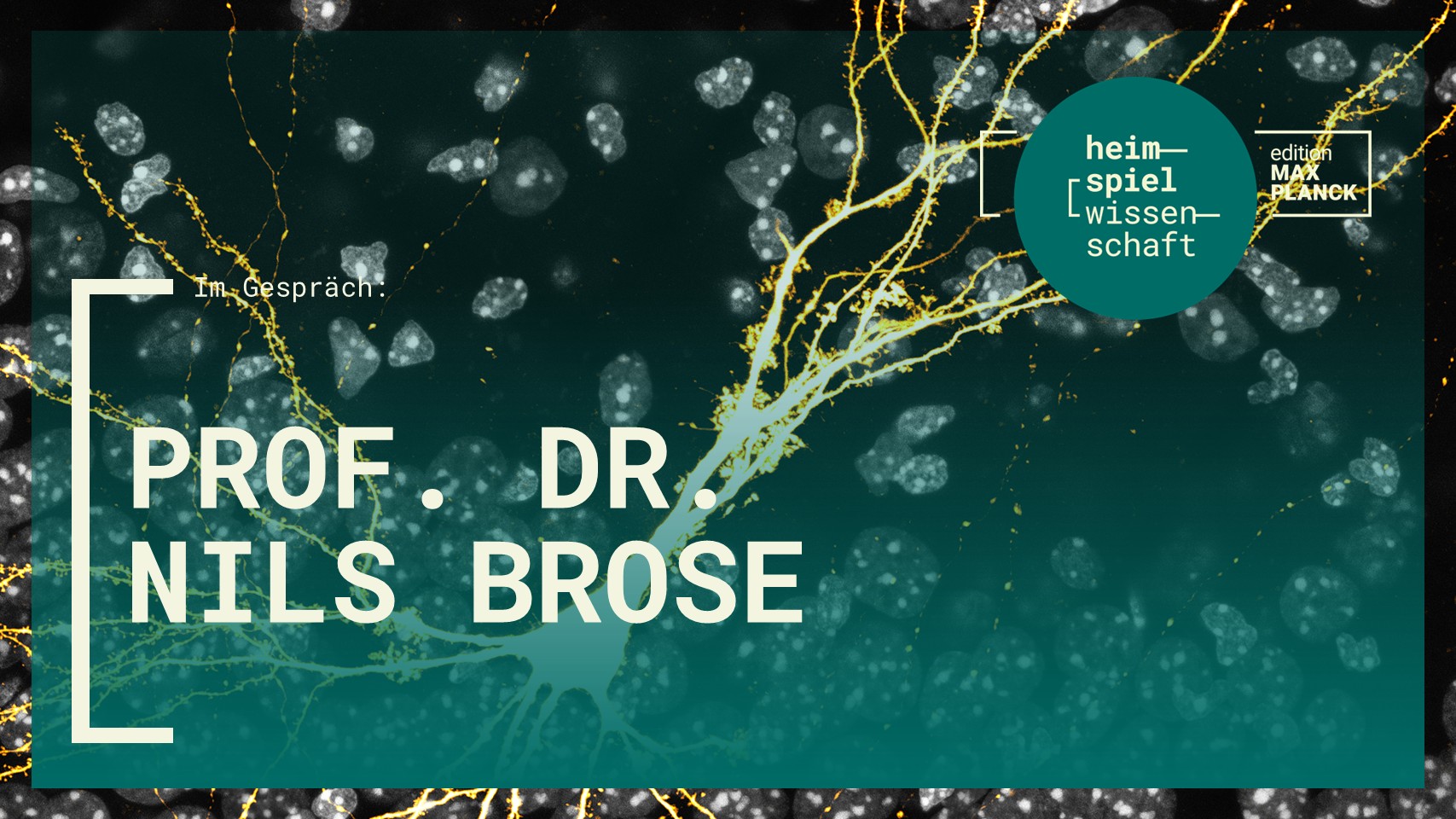 Copyright Hintergrundbild: Dr. Ben Cooper, MPI-NAT